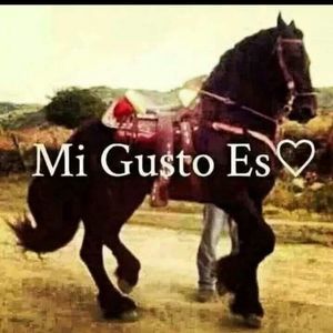 Meet your Posher, Selena